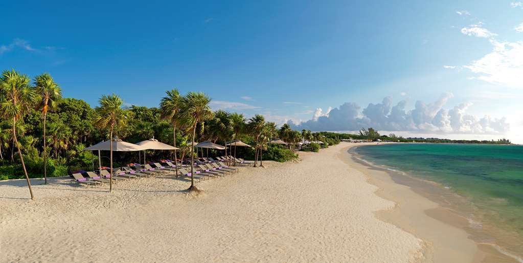 Royal Service At Paradisus La Perla (Adults Only) Playa del Carmen Természet fotó